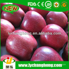 2014 New Crop Huaniu Apple